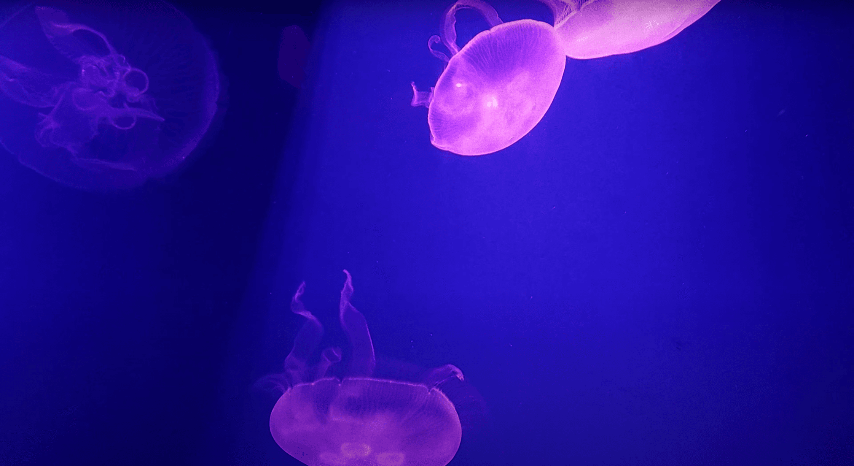 IMMEDIATE DATA 1 / 2022 - Image 7