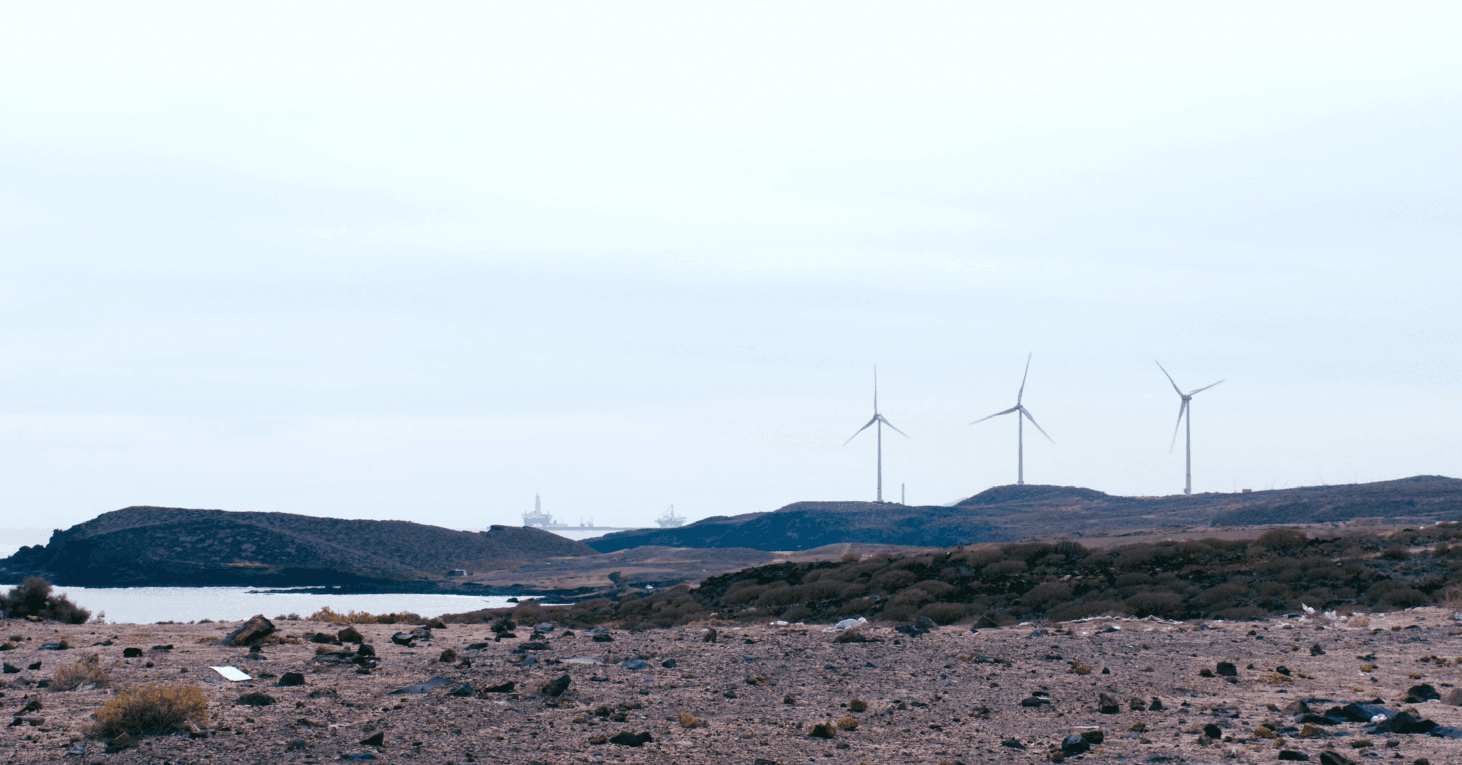 HOLIDAY PARADISE / 2023 - Image 4