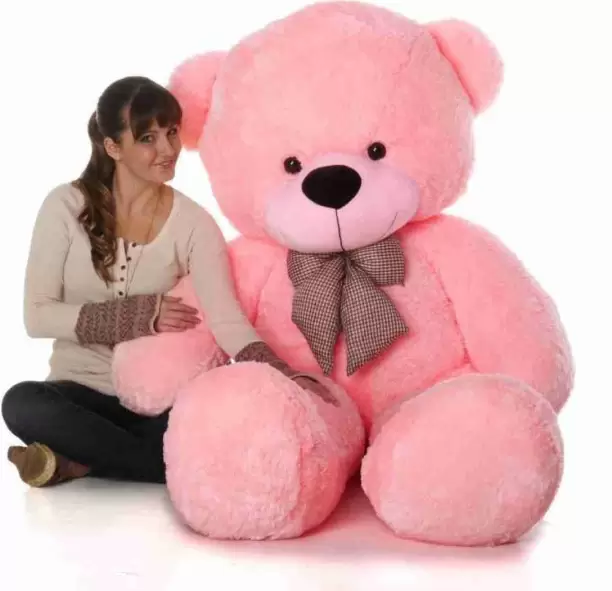 Huggable Teddy Bear