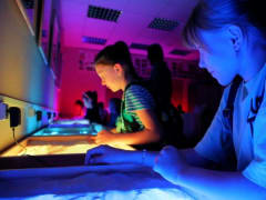 "Ночь в Художке" впервые состоялась для юных художников