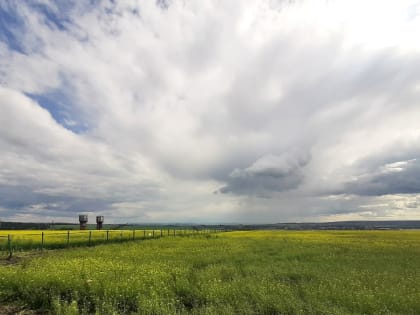 ЕС в ближайшие дни введёт пошлины на зерно из России и Беларуси