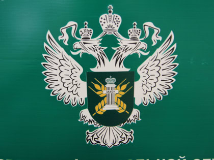 Массовое отравление учеников в Канске: нарушения в школьном питании