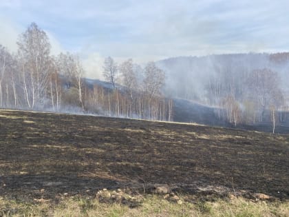 В Красноярском крае значительно ухудшилась лесопожарная обстановка