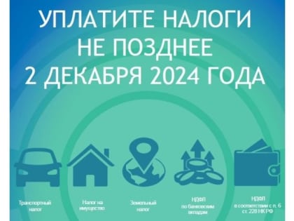 Срок уплаты имущественных налогов физических лиц в 2023 году