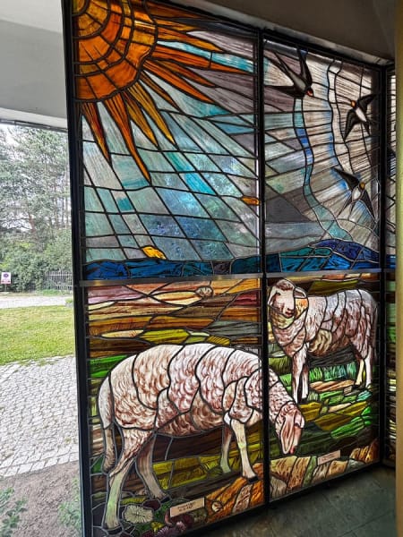 Image 5
