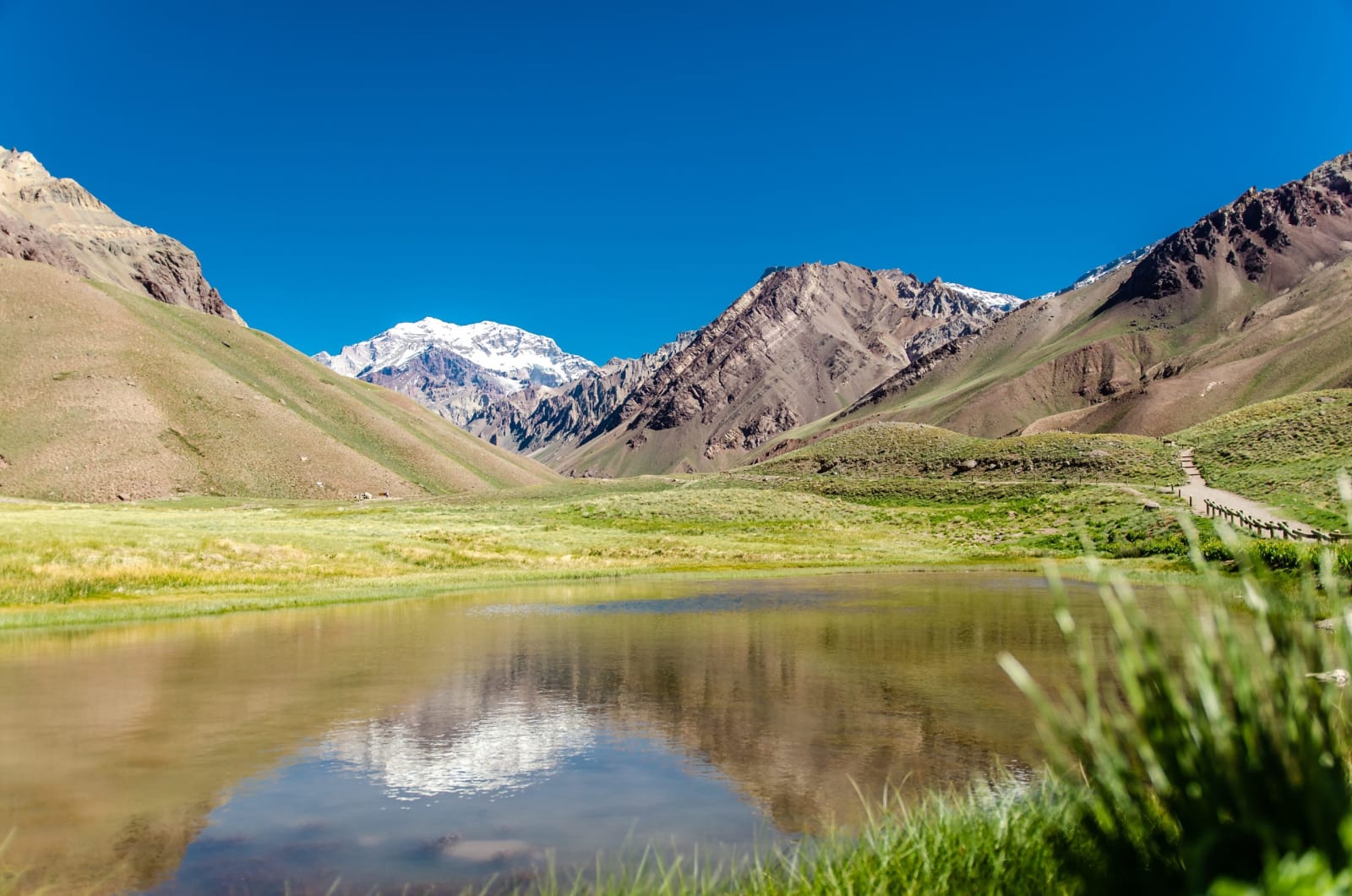 Laguna de Horcones with Aconcagua in the background