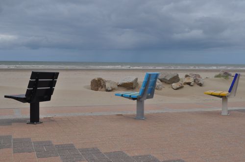 Jacar Photo