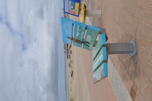 Jacar Photo