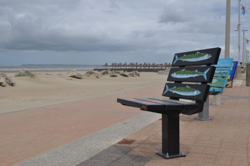 Jacar Photo