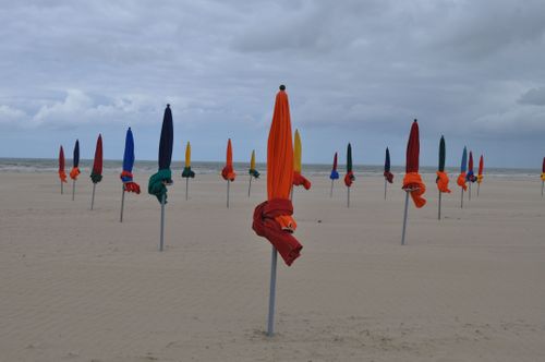 Jacar Photo
