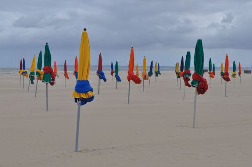 Jacar Photo