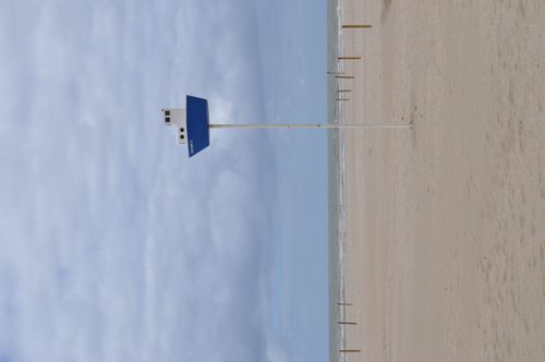 Jacar Photo