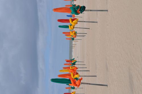 Jacar Photo