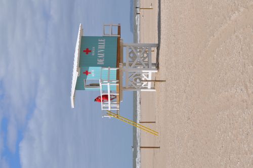 Jacar Photo