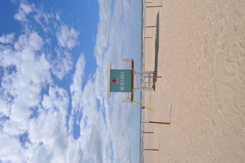 Jacar Photo