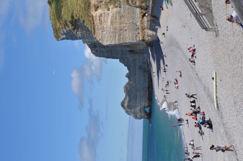Jacar Photo