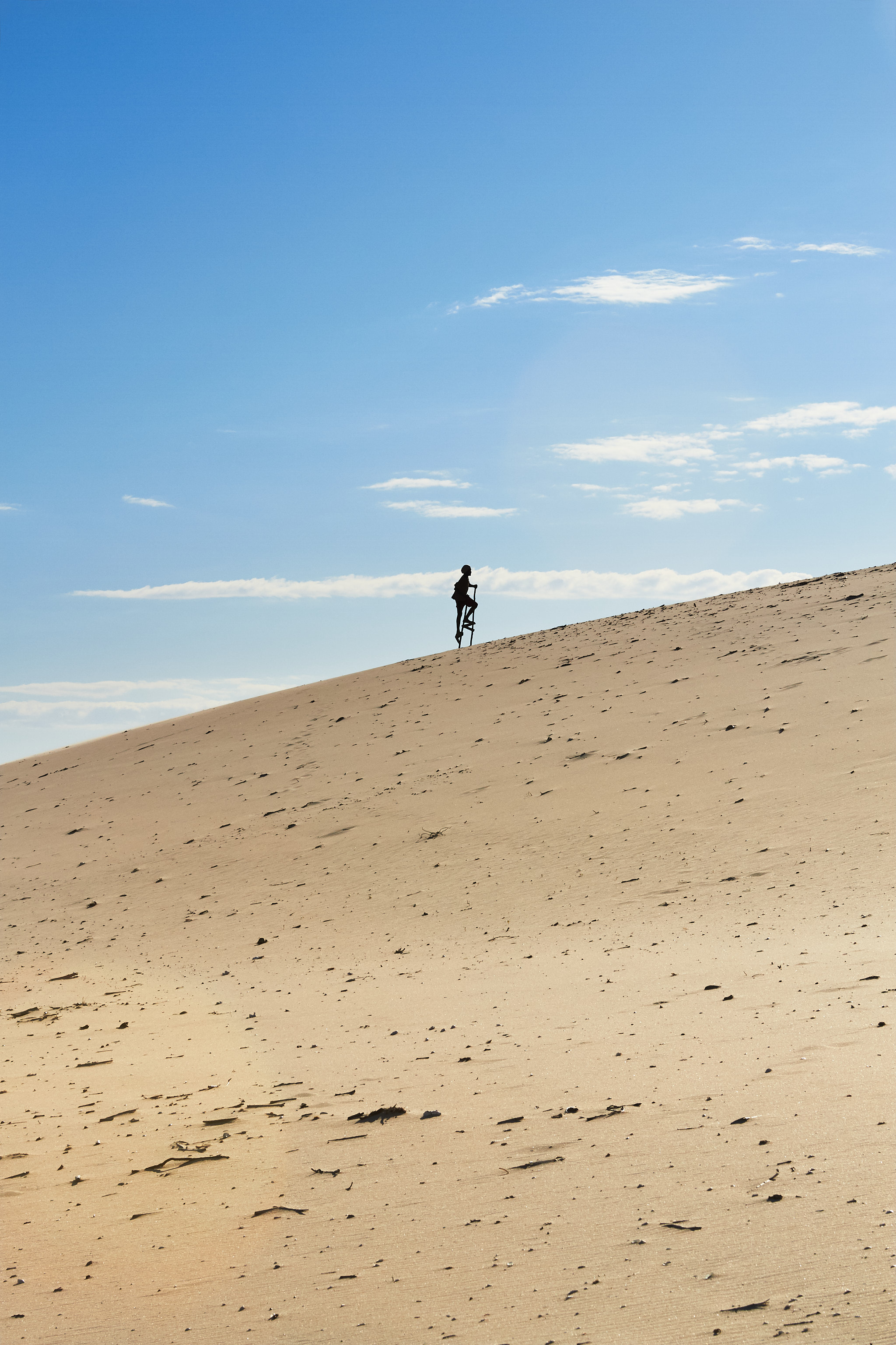 Dune Walker