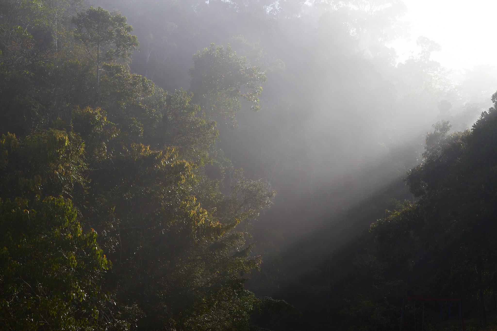 Mist III, Andasibe