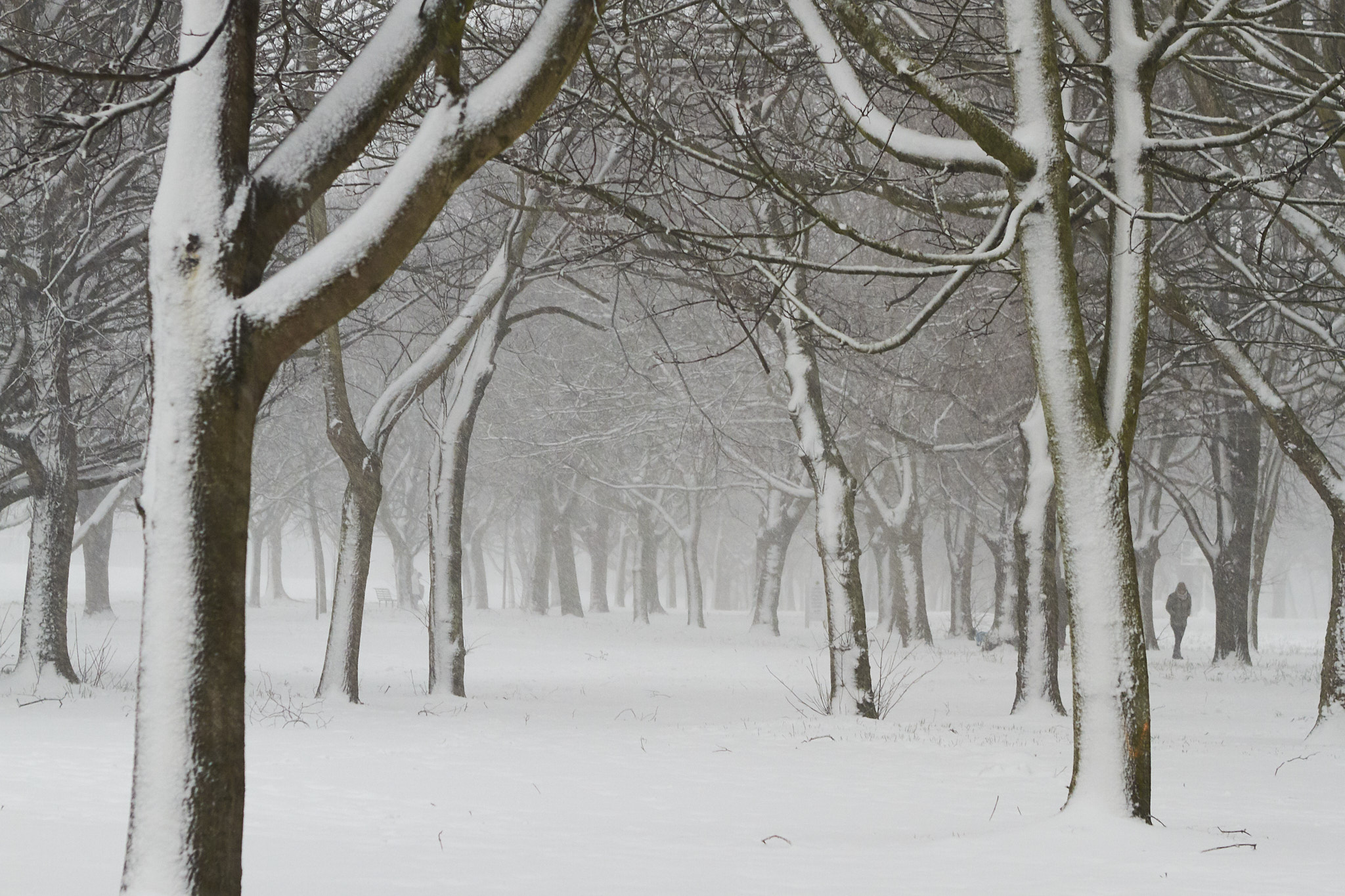 Storm Emma, Fairview Park