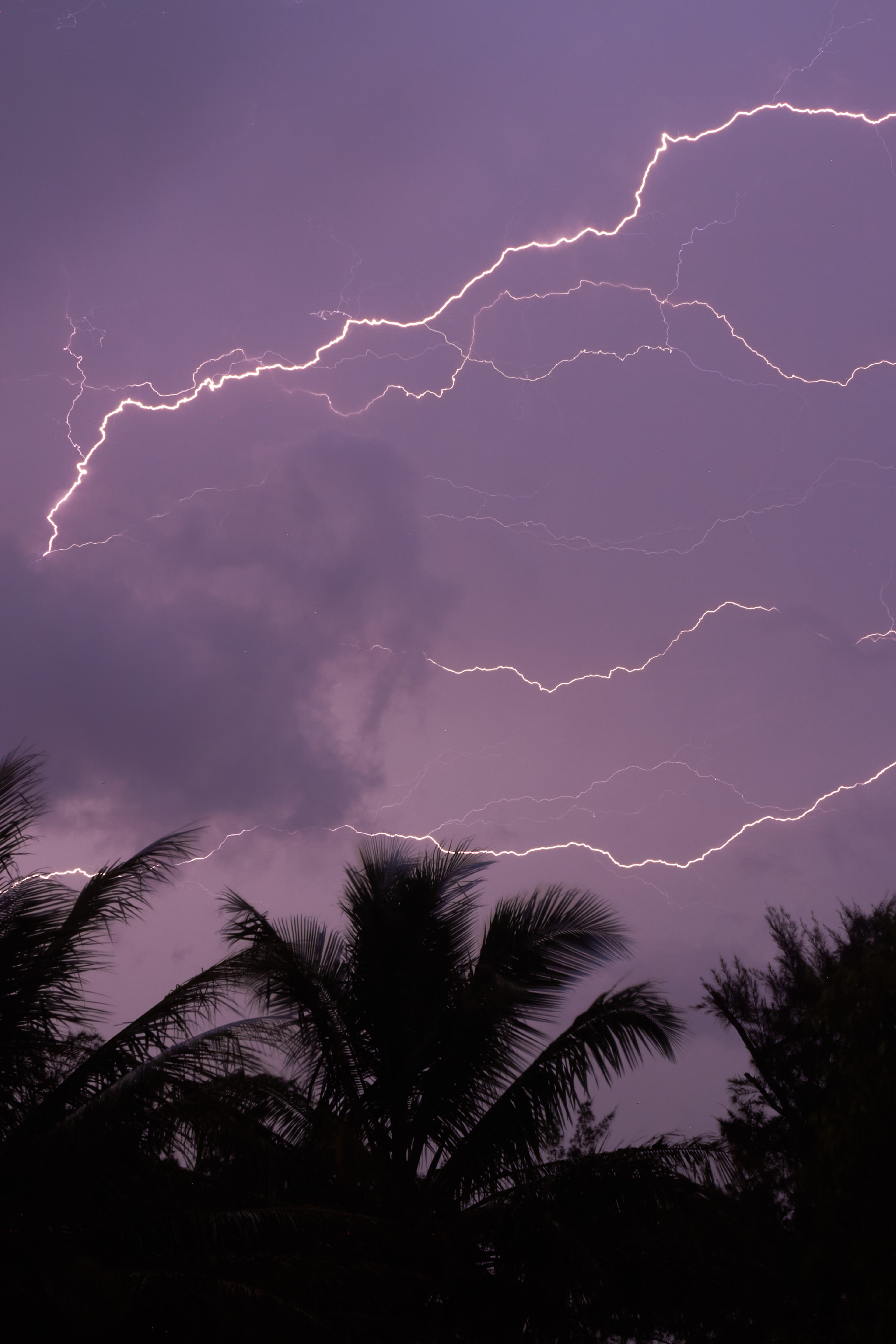 Perpetual Lightning, Ampasikabo