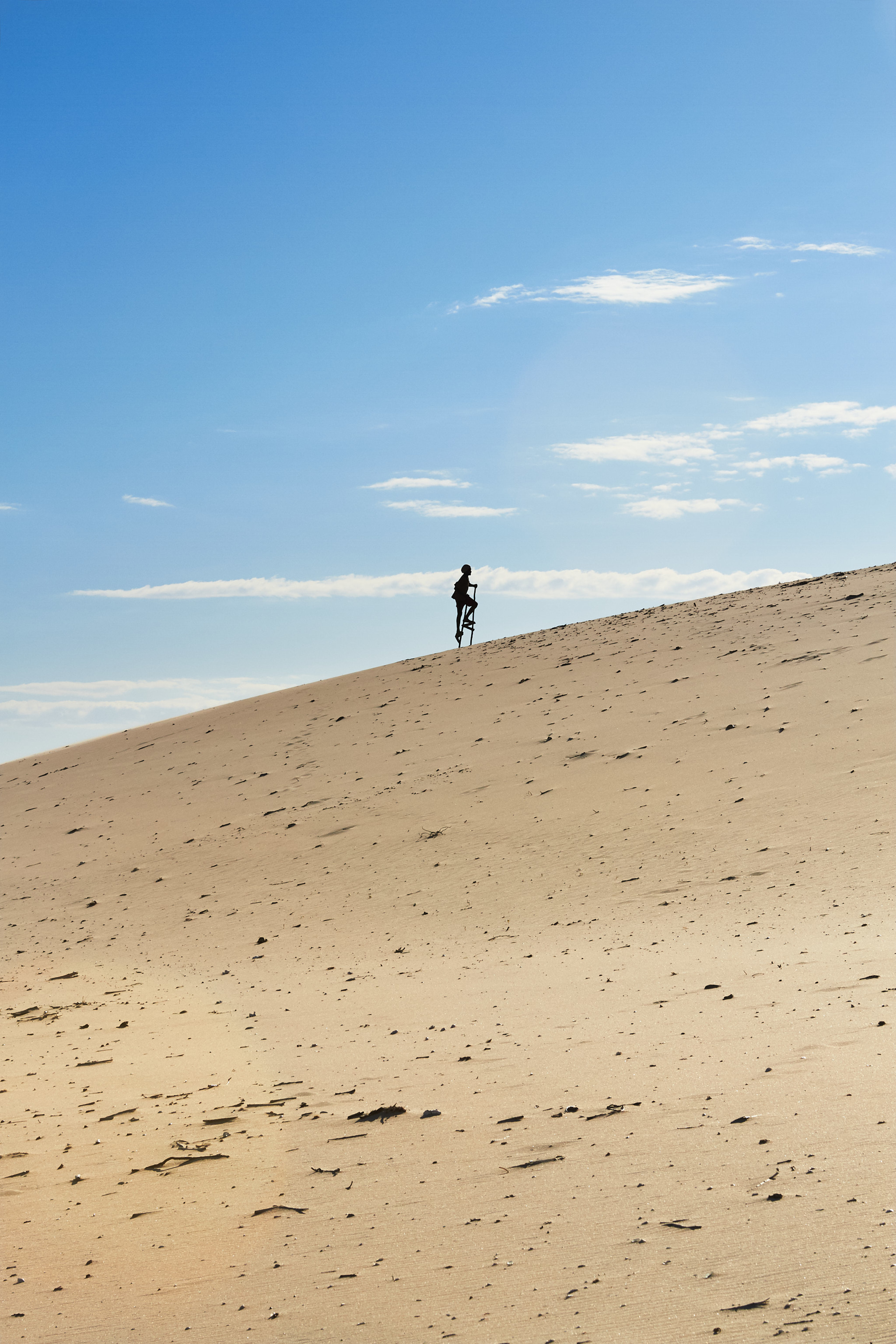 Dune Walker