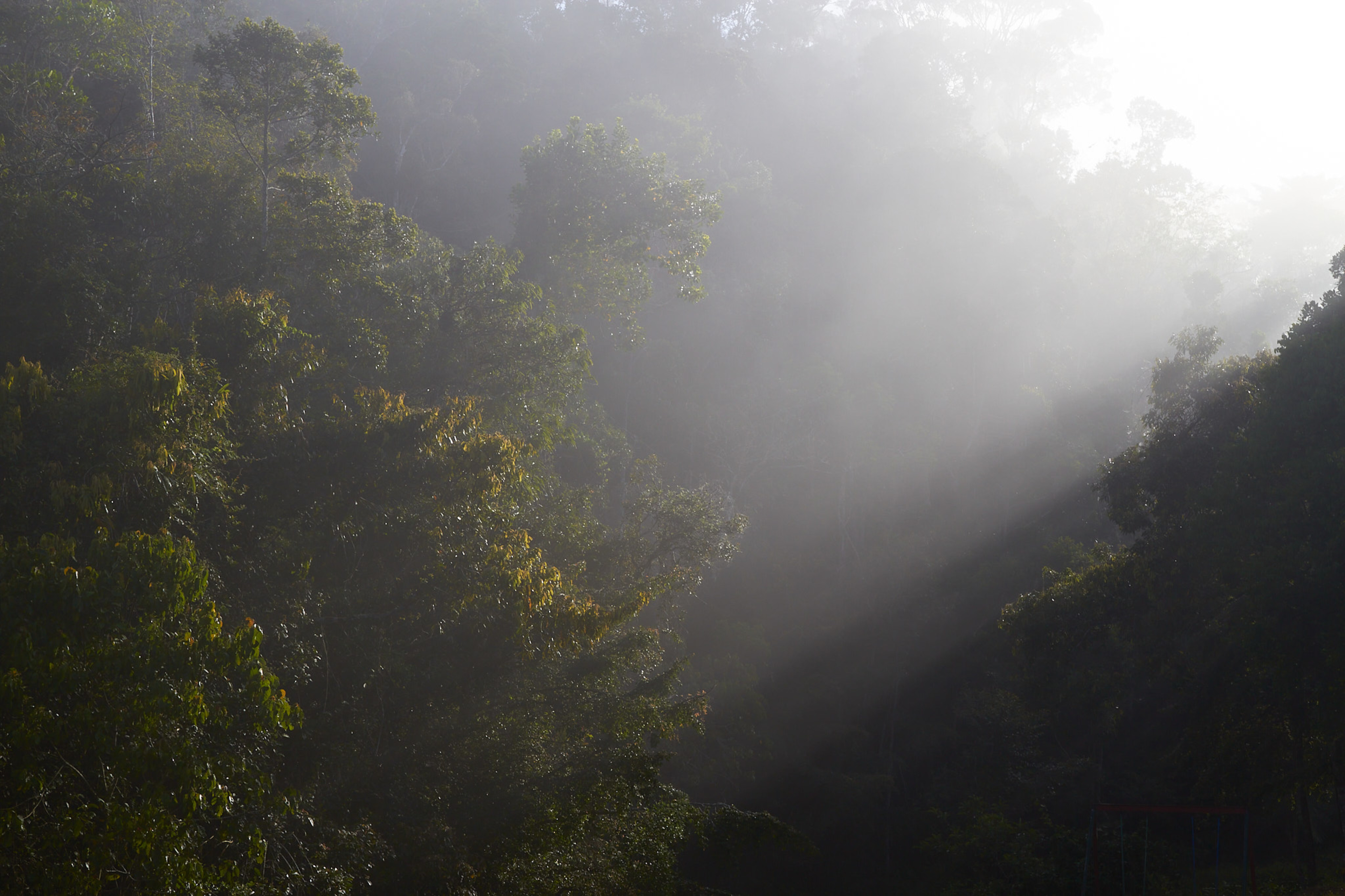 Mist III, Andasibe