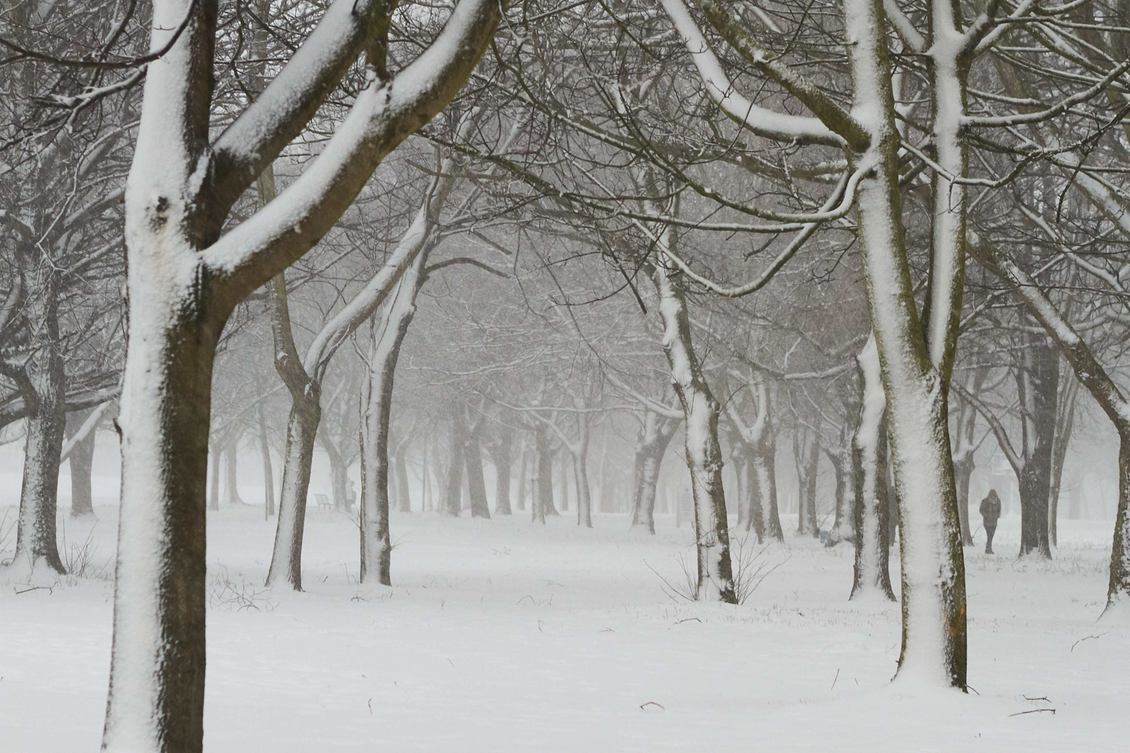 Storm Emma, Fairview Park