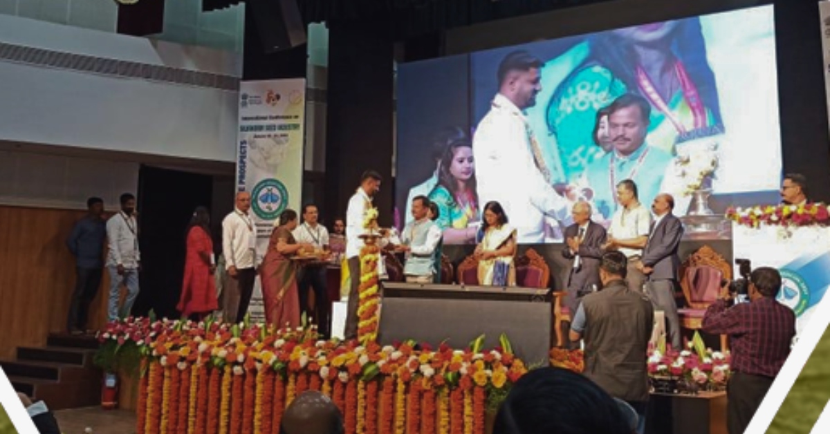 A successful harvest of healthy silkworm cocoons