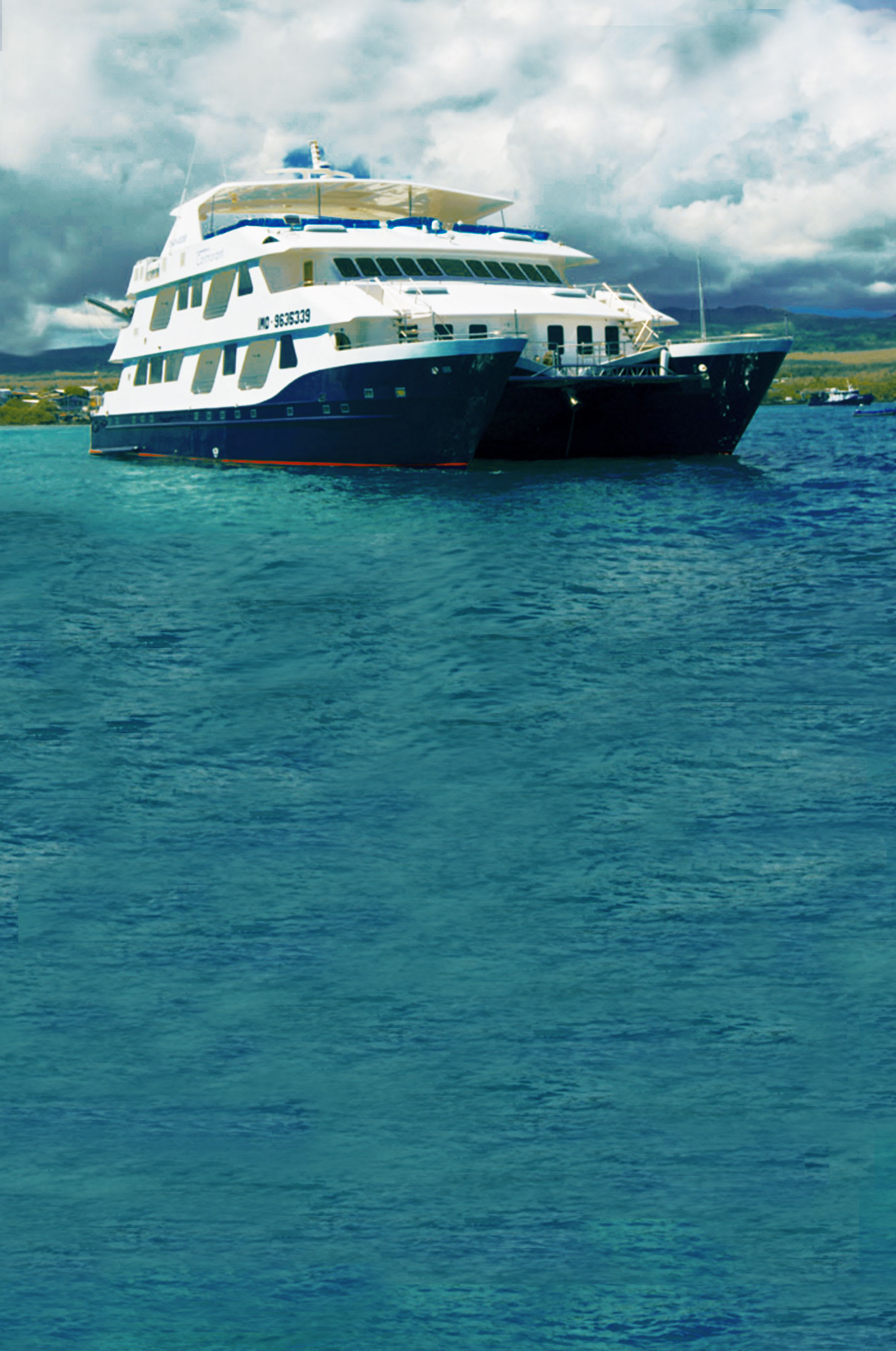 CORMORANT CATAMARAN