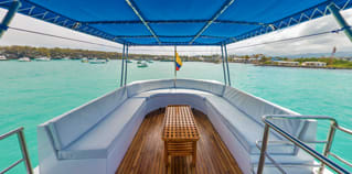 NORTADA Dive - In view 1
