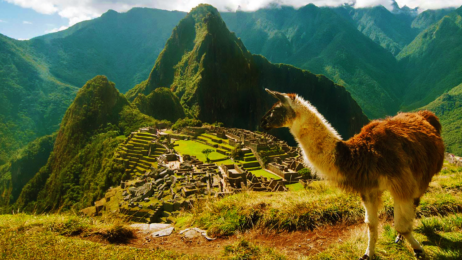 CUSCO, SACRED VALLEY, MACHU PICCHU