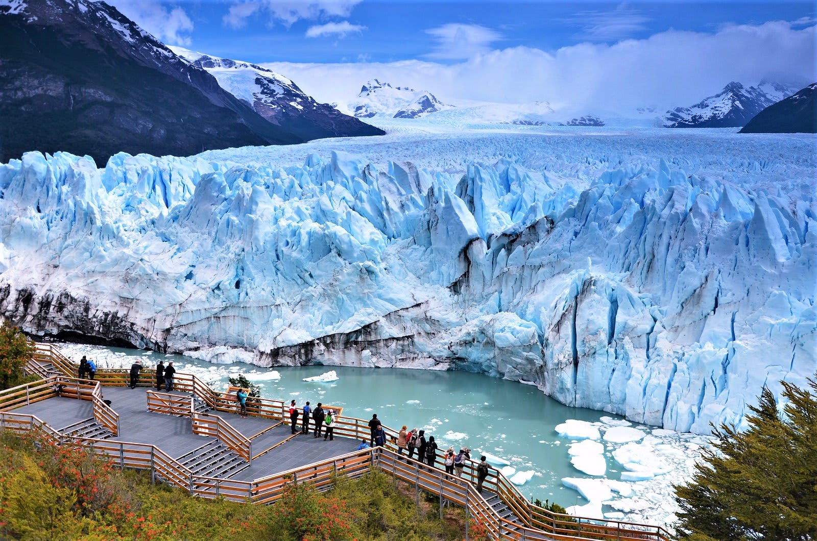 CALAFATE