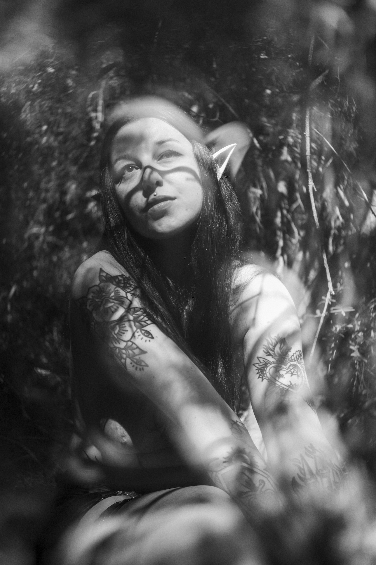 PORTRAITS
