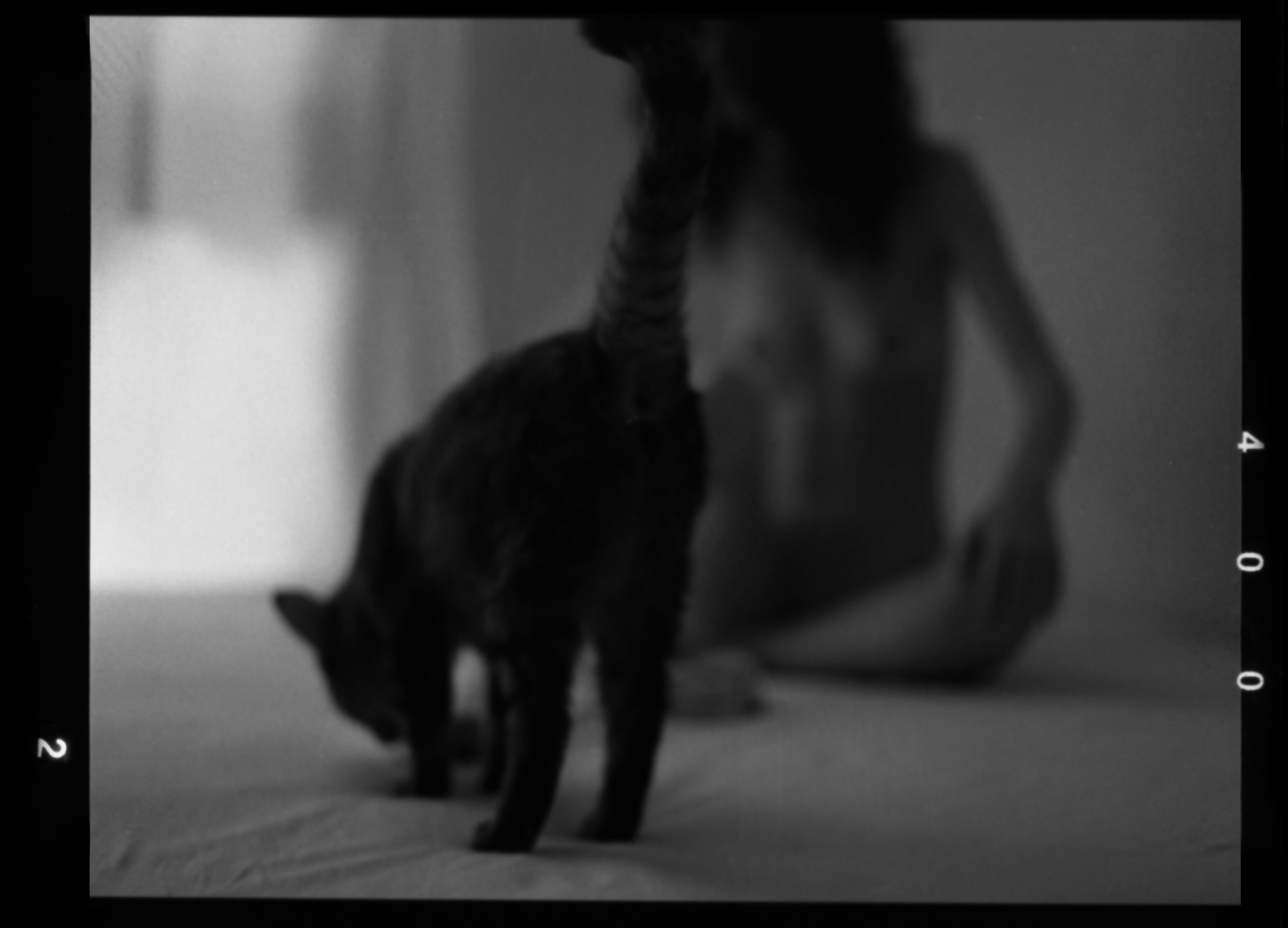 FOMAPAN 400