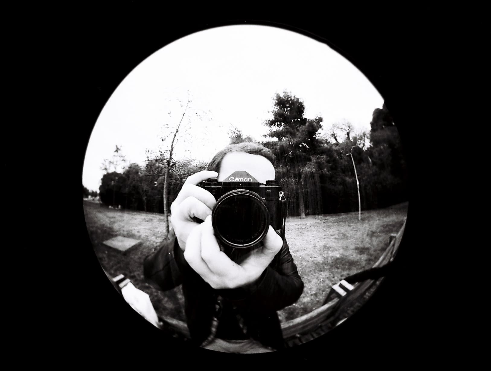 SVEMA FOTO 100