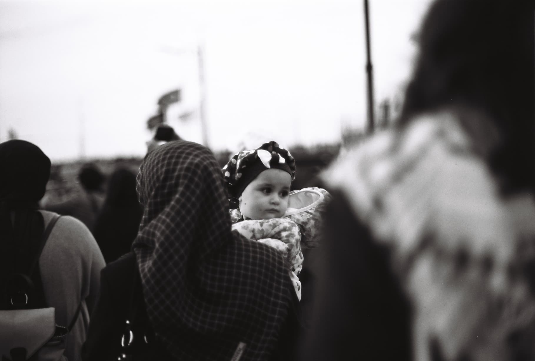SVEMA FOTO 100