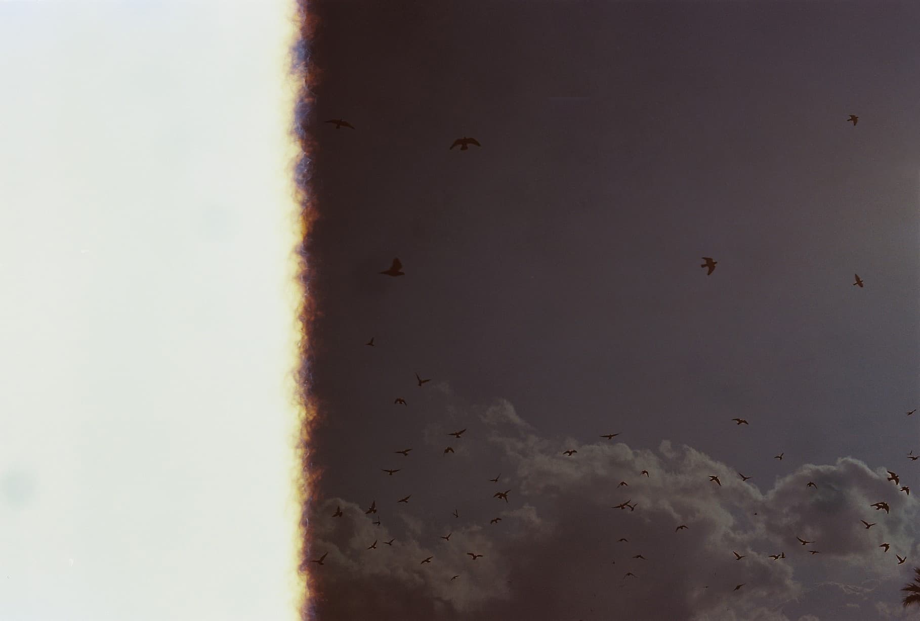 KODAK PROFOTO 100