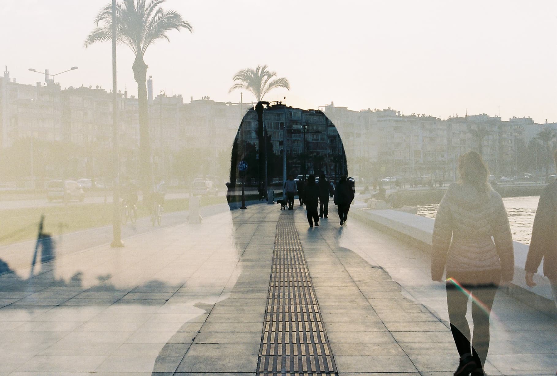 FUJİC C 200