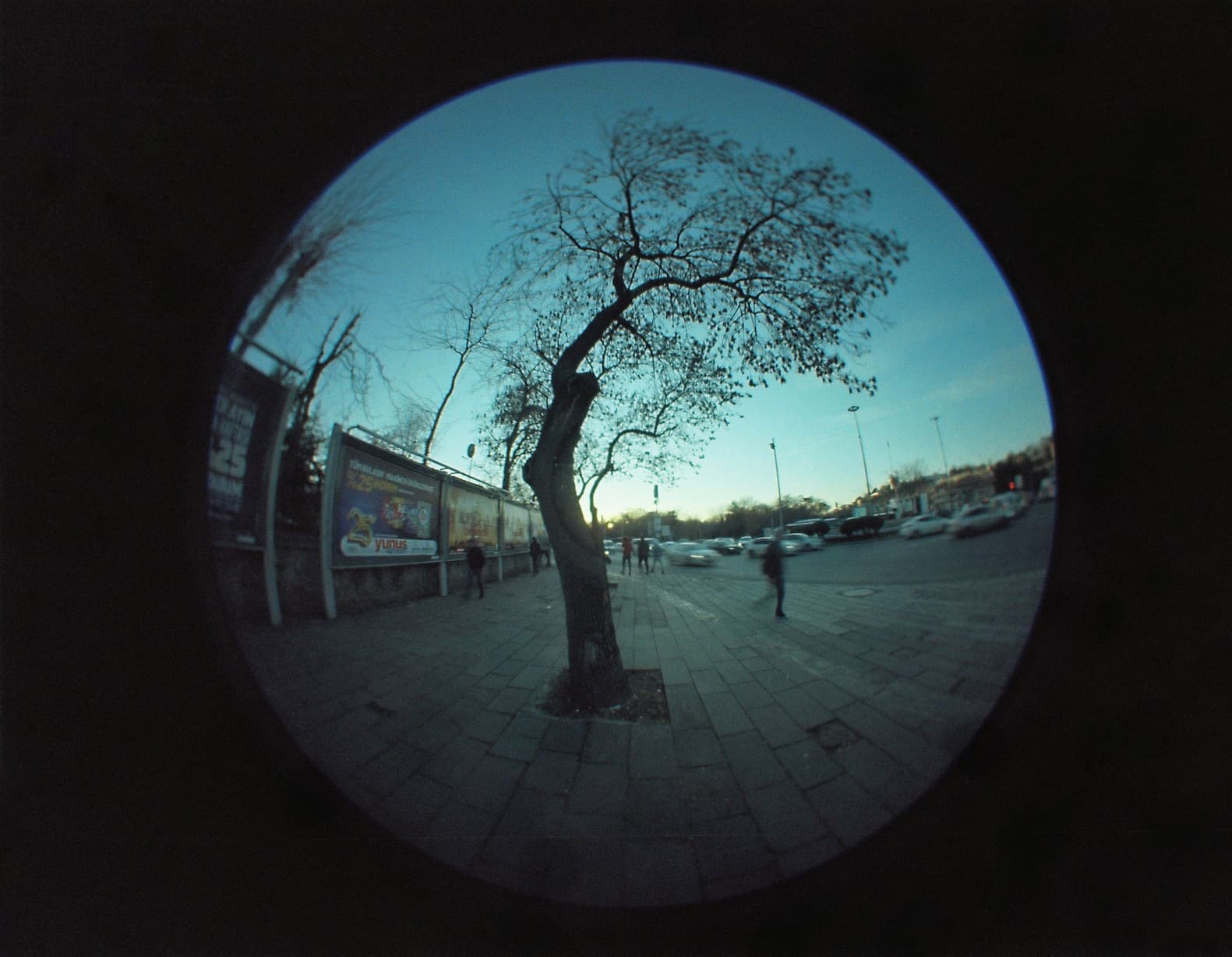 KODAK PROFOTO 100