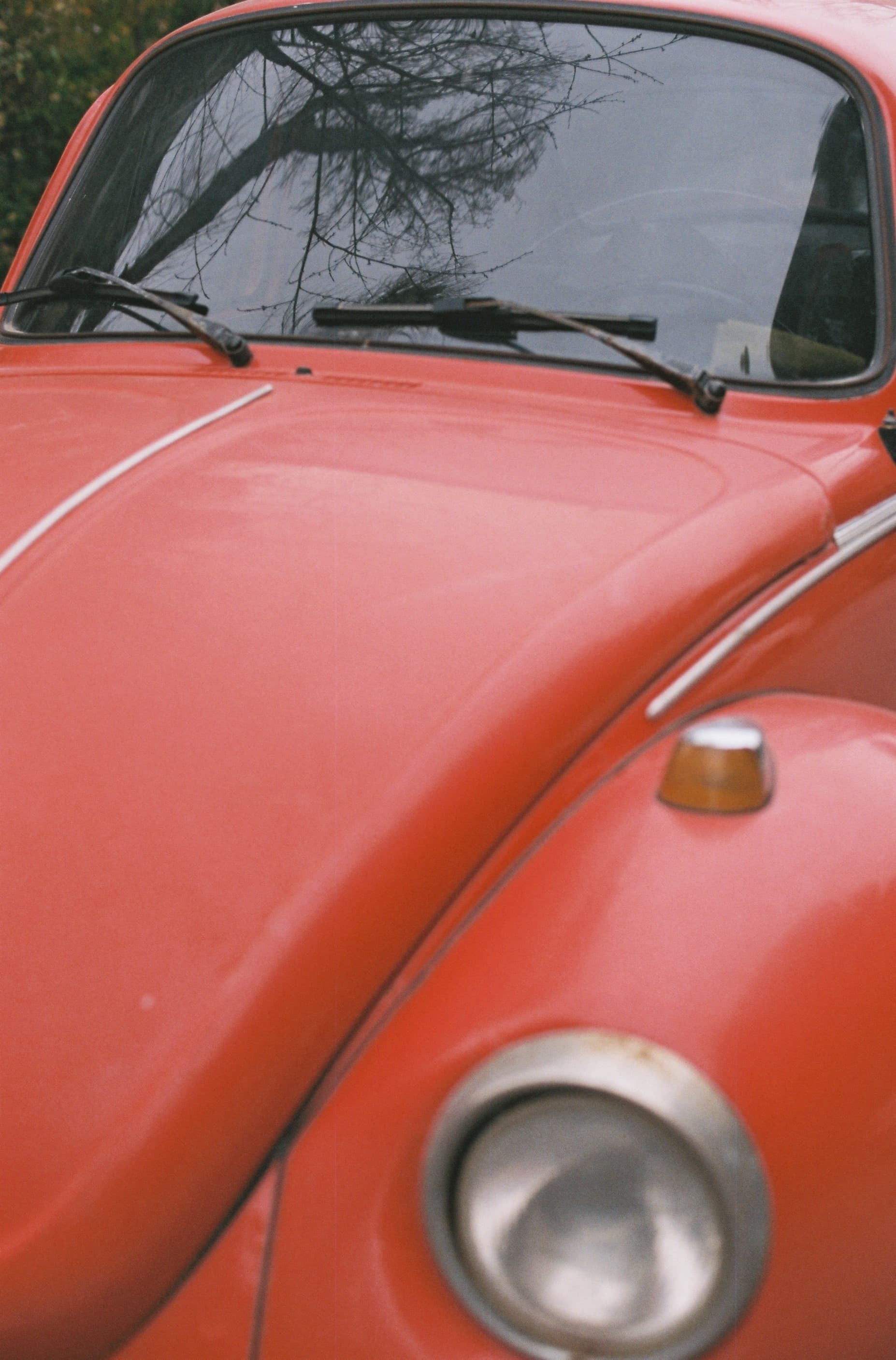 FUJİC C 200