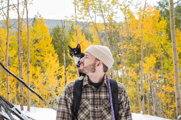 Person with a cat