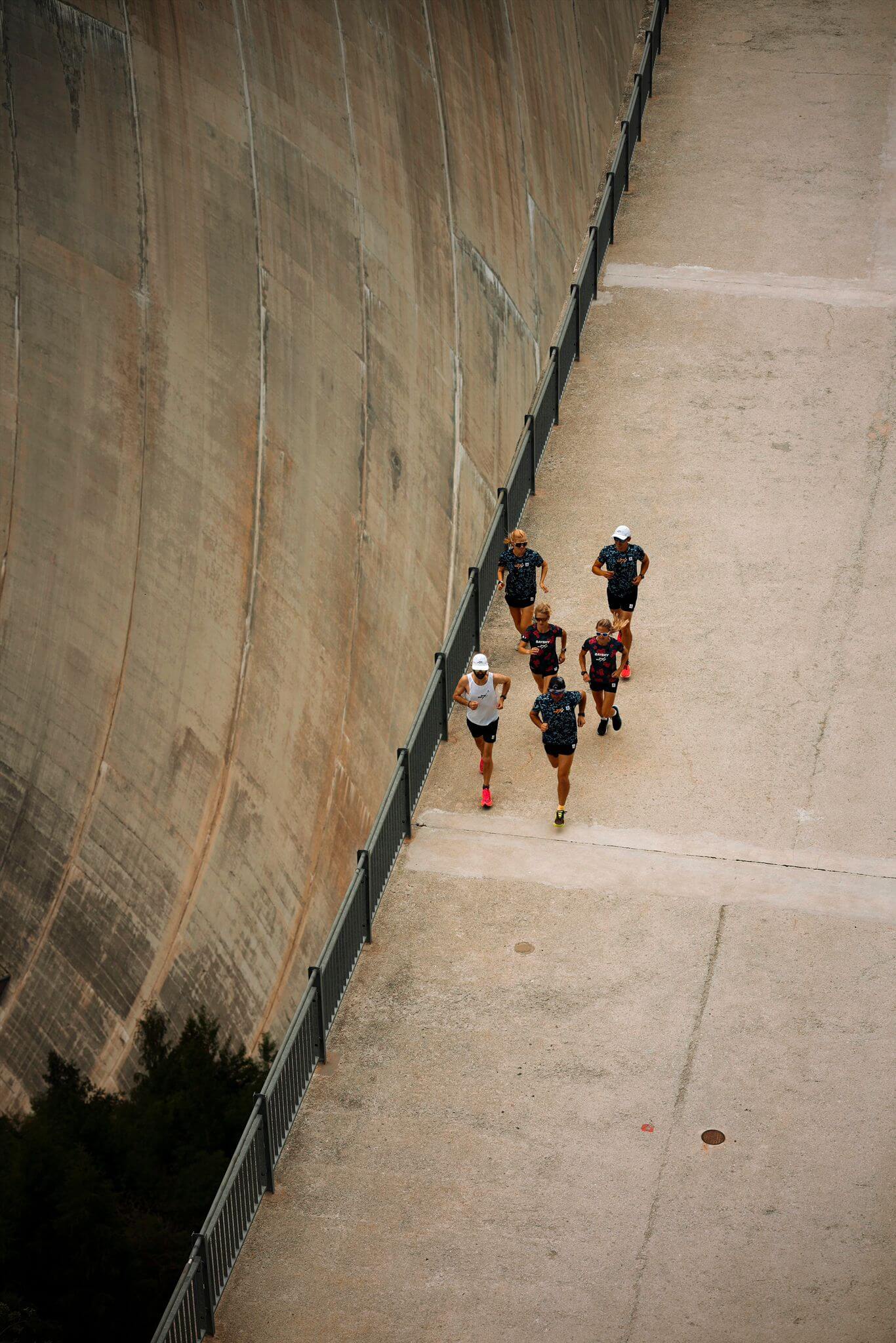Recovery. Sign Up.