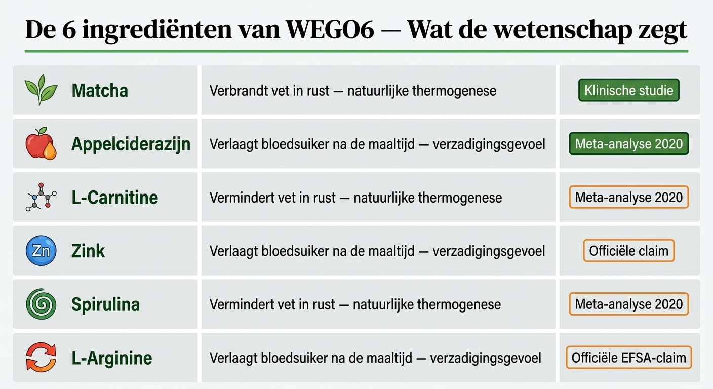 De 6 natuurlijke actieve stoffen in WEGO6