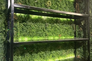 Foto de opinión de usuario