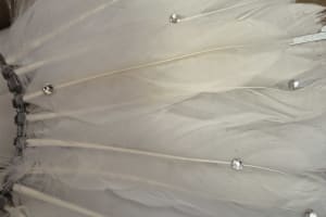 Foto de opinión de usuario