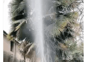 Foto de opinión de usuario