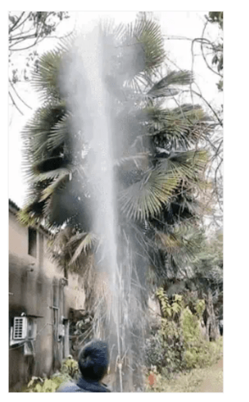 Foto de opinión de usuario