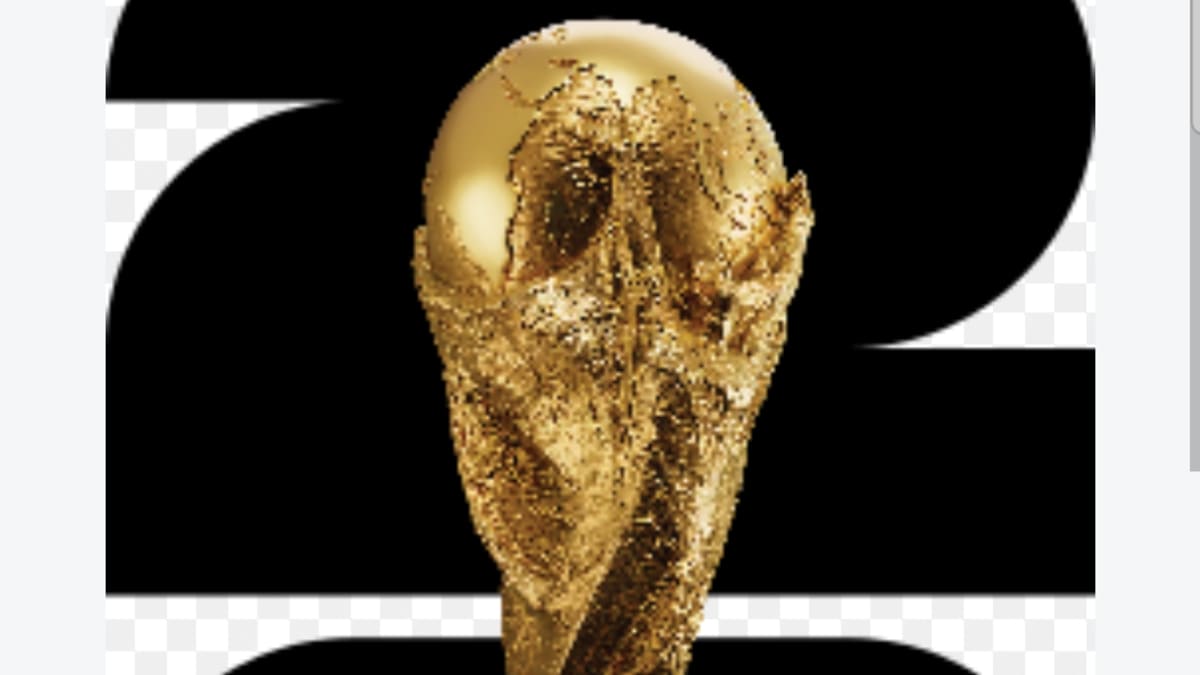 THE INTERNATIONAL WORLD CUP 