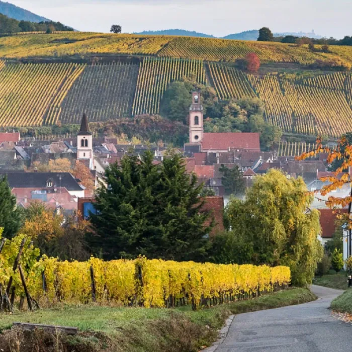 Domaine de Dop au Moulin de 65 Ha en AOC Alsace, Alsace Grand Cru et Crémant d’Alsace