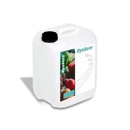 image du produit : BYOBORE